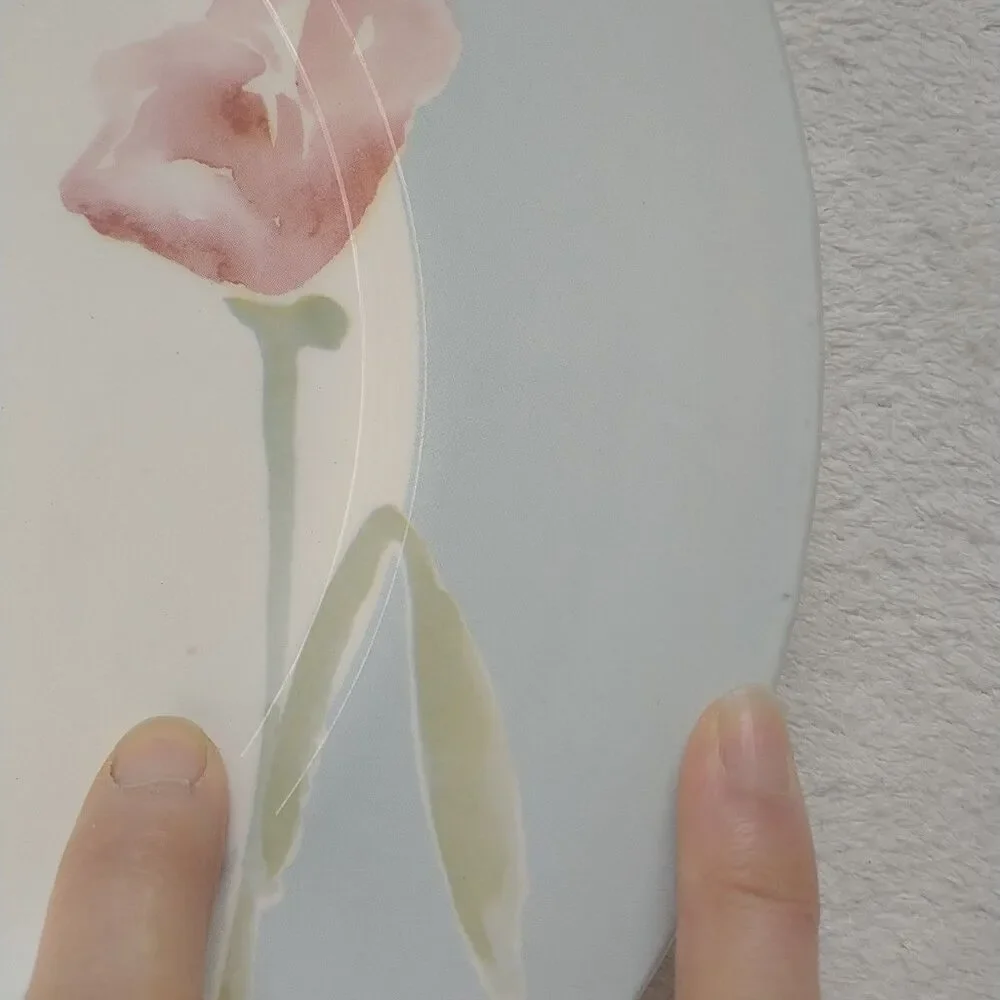 Royal Stafford Watercolour Fine Earthenware Dinner Plate Floral Pastel 2x 11